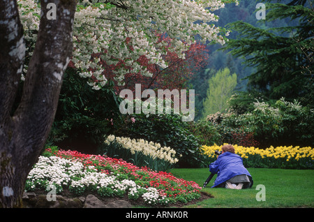 Les jardins Butchart, photographies de fleurs de printemps femme, Victoria, île de Vancouver, Colombie-Britannique, Canada. Banque D'Images