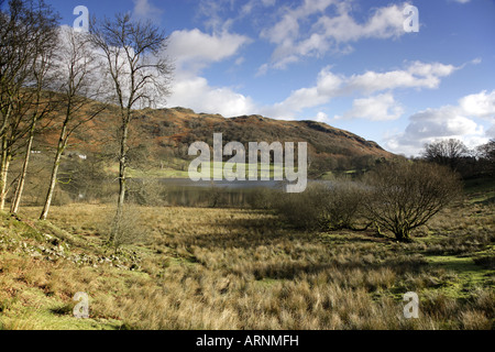 Une vue de la The Langdales de Loughrigg 'Tarn' Parc National de Lake District, Cumbria (Royaume-Uni) Banque D'Images