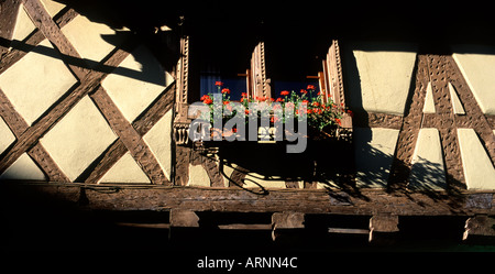 Colombages avec fenêtre Boîte de fleurs rouges, Rue du Général de Gaulle, Riquewihr, Haut Rhin, Alsace, France Banque D'Images