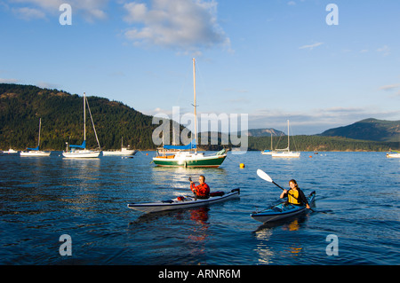 Kayakers paddle en avant du village, Cowichan Bay, île de Vancouver, Colombie-Britannique, Canada. Banque D'Images