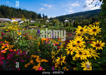 Providence Farm garden, Cowichan Bay, île de Vancouver, Colombie-Britannique, Canada. Banque D'Images