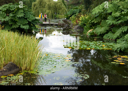 Jardin botanique VanDusen, Vancouver, Colombie-Britannique, Canada. Banque D'Images