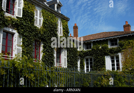 Ivy escalade sur l'ancien bâtiment de caractère à Parthenay, France Banque D'Images