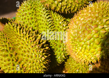 Durian au Pak Klong Talat Marché de fleurs et de légumes à Bangkok, Thaïlande Banque D'Images