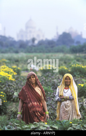 L'Inde, Uttar Pradesh, Agra, les travailleurs agricoles avec Taj Mahal à distance. Banque D'Images