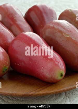 Apple l'eau (syzygium aqueum) Banque D'Images