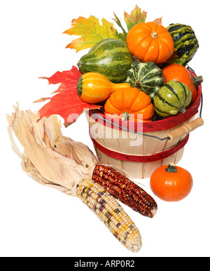 Panier d'automne les gourdes et Indian Corn Banque D'Images