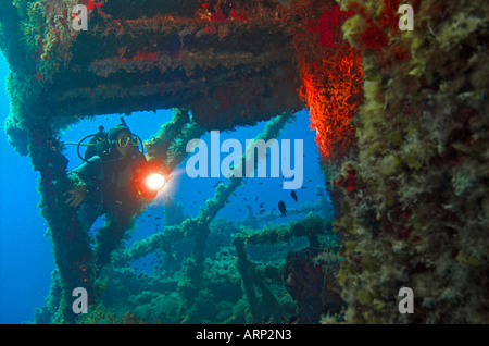 Avec une torche de plongée sur l'épave de m v Mariana de l'île de Naxos coulé en 1981 Banque D'Images