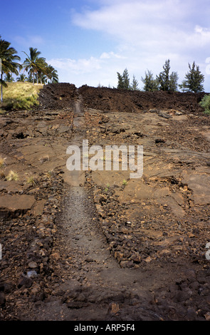 Ala Kahakai National Historic Trail (King's Trail) qui traverse le site pétroglyphe de Waikoloa Resort, Big Island, Hawaii, États-Unis. Banque D'Images