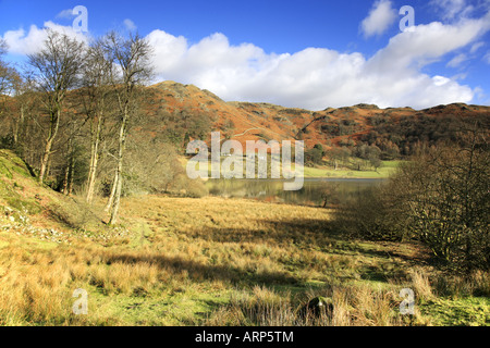 Une vue de la The Langdales de Loughrigg 'Tarn' Parc National de Lake District, Cumbria (Royaume-Uni) Banque D'Images