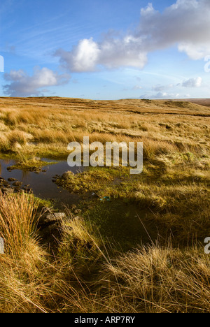 Tameside Moor sur la frontière du Yorkshire Lancashire en février 2008 Banque D'Images