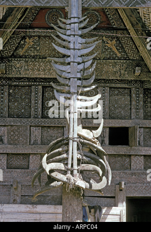 Maison ancestrale village Toraja de Sulawesi Indonésie près de Rantepao Tanatoraja cornes de buffle d'argent à une maison poster Banque D'Images