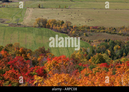 Champs et forêt automne feuilles et champs dans la vallée de la rivière Ottawa belvédère Champlain Le Parc de la Gatineau Québec Canada Banque D'Images