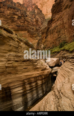 Un Matkatamiba Randonnée Canyon canyon latéral sur le fleuve Colorado dans le Grand Canyon National Park Arizona Banque D'Images