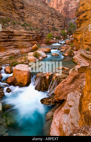 Havasu Creek Canyon sur la rivière Colorado dans le Grand Canyon National Park Arizona Banque D'Images