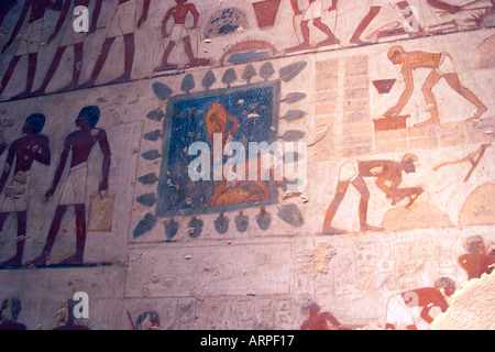 Les hiéroglyphes de la tombe de Rekhmire, Cisjordanie, Luxor, Egypte Banque D'Images