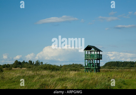 Birdchwatchers la tour de bois dans la prairie abandonnée,Pologne Banque D'Images