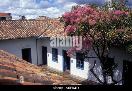 Atrium du Musée Municipal d'Art Moderne avec la bibliothèque d'art et un arbre en fleur rose dans la ville de Cuenca en Equateur Banque D'Images