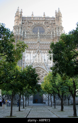 Cathédrale Giralda de Séville St Mary Puerta del Perdon Entrée Nord Andalousie Espagne Banque D'Images