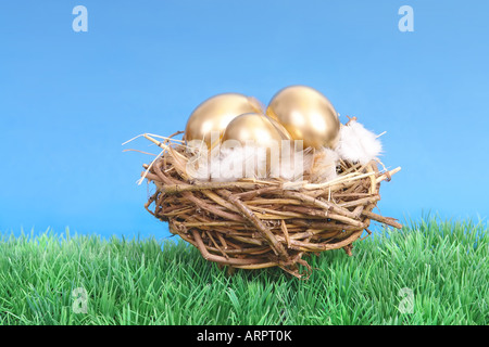 Les oeufs d'or dans le nid d'herbe sur plus de ciel bleu Banque D'Images