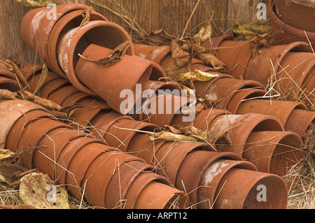 Vieux pots en terre cuite avec les feuilles d'automne Banque D'Images