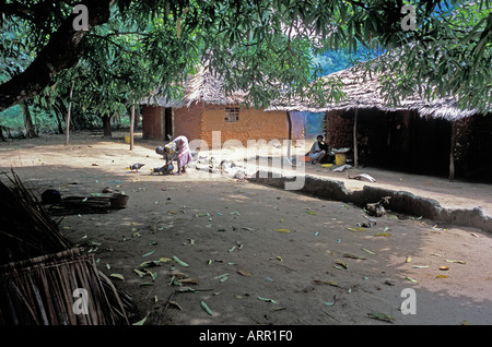 Afrique KENYA KALIFI vie quotidienne en milieu rural village kenyan avec les femmes qui travaillent en dehors de leur boue et de maisons au toit de chaume de mimosa Banque D'Images