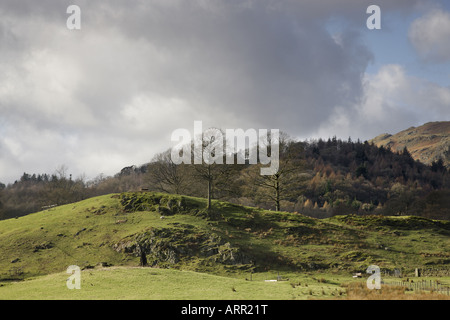 Une vue de la The Langdales de Loughrigg 'Tarn' Parc National de Lake District, Cumbria (Royaume-Uni) Banque D'Images