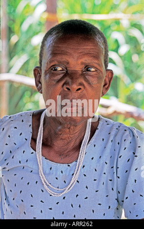 Afrique Kenya personnes âgées distingué KALIFI kényane chef de women's Dairy Co-operative Banque D'Images