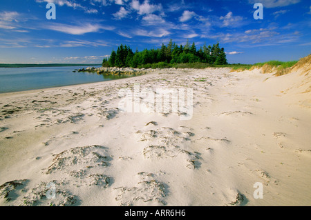 Carter's Beach, Nova Scotia, Canada Banque D'Images