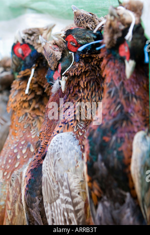 Faisans à vendre pour l'alimentation dans un marché de producteurs à Harrogate Yorkshire de l'Angleterre le 13 décembre 2007 Banque D'Images