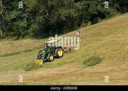 Sur une pente glade un agriculteur est le foin avec un tracteur agricole agriculture récolte de foin véhicule Banque D'Images