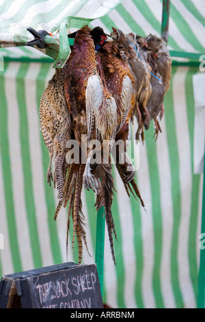 Faisans à vendre pour l'alimentation dans un marché de producteurs à Harrogate Yorkshire de l'Angleterre le 13 décembre 2007 Banque D'Images