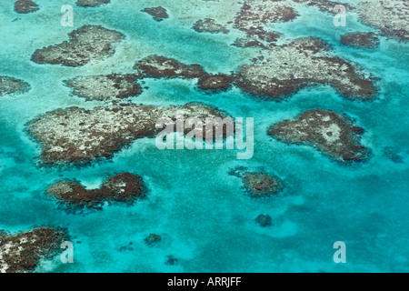 C70827D. coral reef bommies, vu de l'air. Belize Mer des Caraïbes. Photo Copyright Brandon Cole Banque D'Images