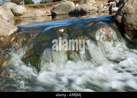 L'eau douce coule une petite rivière dans un lac Banque D'Images