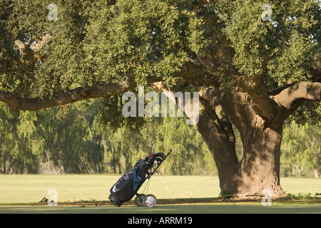 Clubs de golf dans le sac de golf sur l'arbre de chêne sous chariot Banque D'Images