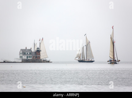 Trois goélettes, avec les touristes à bord, tour du brise-lames du port de Rockland à destination de tours de la baie de Penobscot, dans le Maine, dans le brouillard. Banque D'Images