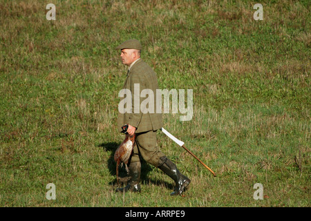 Garde-chasse faisan récupère au cours d'un jours tourner en Hampshire dans le sud de l'Angleterre Angleterre Europe Banque D'Images