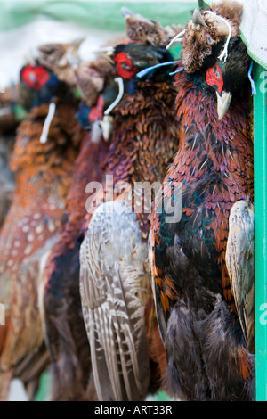 Faisans à vendre pour l'alimentation dans un marché de producteurs à Harrogate Yorkshire de l'Angleterre le 13 décembre 2007 Banque D'Images