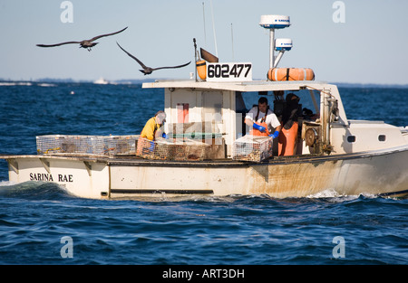 Lobstermen trois courriers, de nettoyage, rebait et réinitialiser des casiers à homard sur un après-midi dans la région de breezy Penobscot Bay, Maine, USA. Banque D'Images