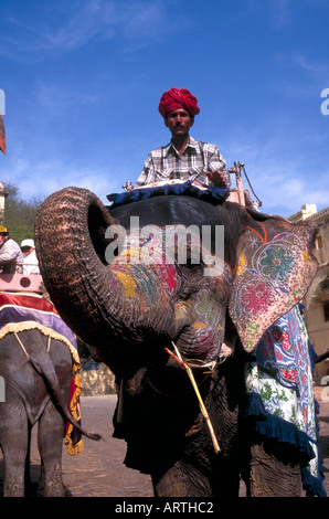 L'éléphant indien, Fort d'Amber à Jaipur, Rajasthan Banque D'Images