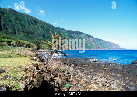 Seacliff Kalaupapa Molokai Hawaii et la plage Banque D'Images