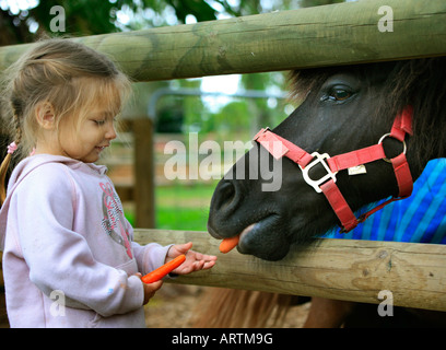 Un enfant se nourrit d'un petit poney les carottes dans une étable Banque D'Images