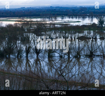 La rivière Parrett serpente à travers champs inondés près de Langport, Somerset Banque D'Images