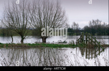 Des saules et d'une ancienne porte reflète dans l'eau des crues de l'autre côté de la rivière Parrett Banque D'Images