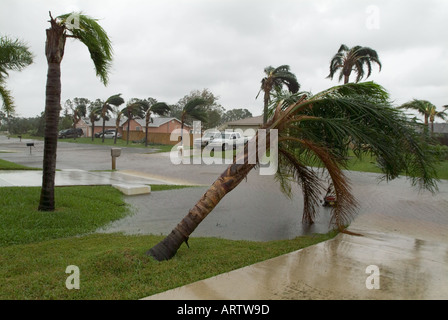L'ouragan Wilma South Florida street inondations dommages routiers palmier enfoncé plus de mauvais temps de graves Banque D'Images