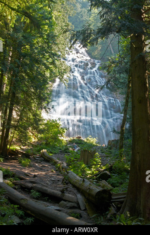 Bridal Veil Falls près de Harrison Hot Springs, en Colombie-Britannique, Canada Banque D'Images