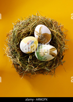 Pâques traditionnel oeuf de poule dans un nid d'oiseaux de paille - décoration concept Banque D'Images