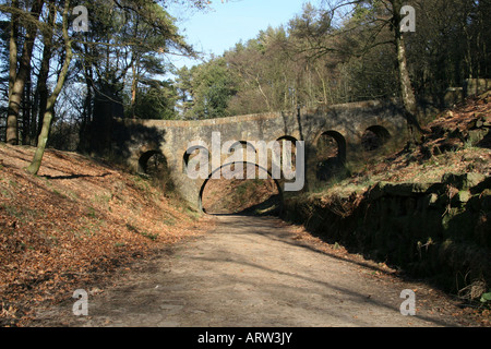 Pont en arc dans le parc du levier, Rivington, Lancashire. Banque D'Images