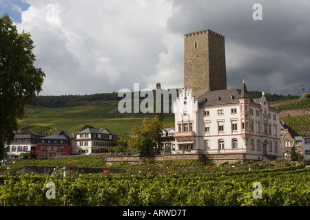 Le Boosenburg Dietikon/Boosen - Château à Rüdesheim am Rhein Allemagne Banque D'Images