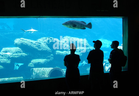 Visiteurs à la mer des naufragés World Aquarium uShaka Marine World Durban, Afrique du Sud Banque D'Images